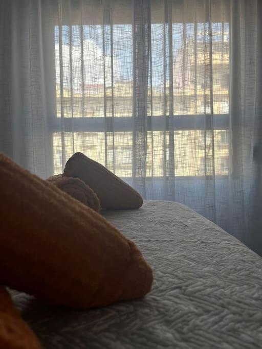 Apartamento Medina Azahara Córdoba Eksteriør bilde