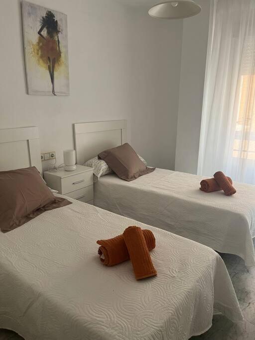 Apartamento Medina Azahara Córdoba Eksteriør bilde